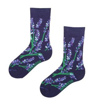 Lavanda - L