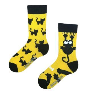 Cat Yellow - L