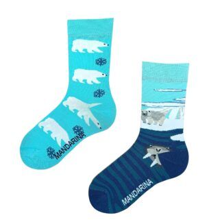 Polar Bear - L